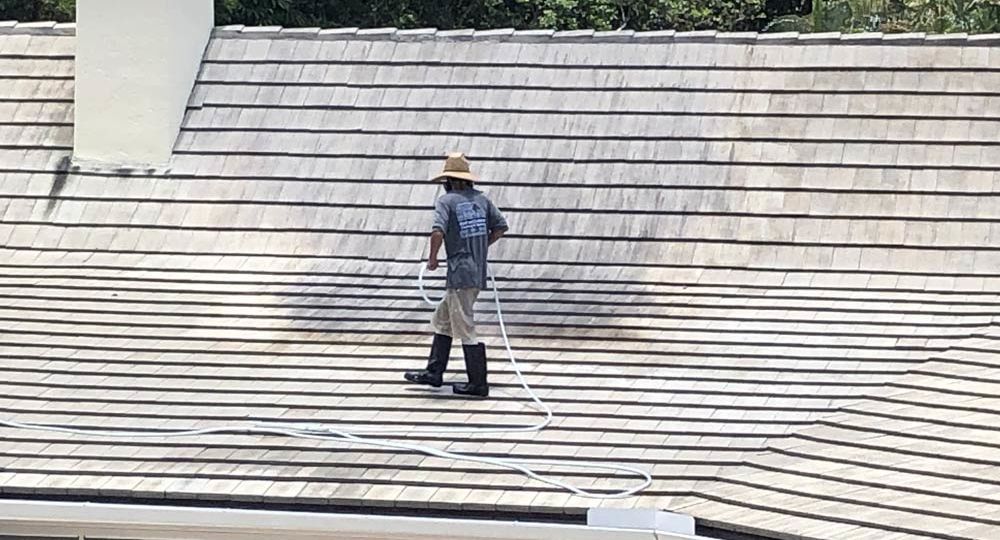 Cleaning Mold Roof