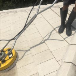 Roof Pressure Cleaning Mold