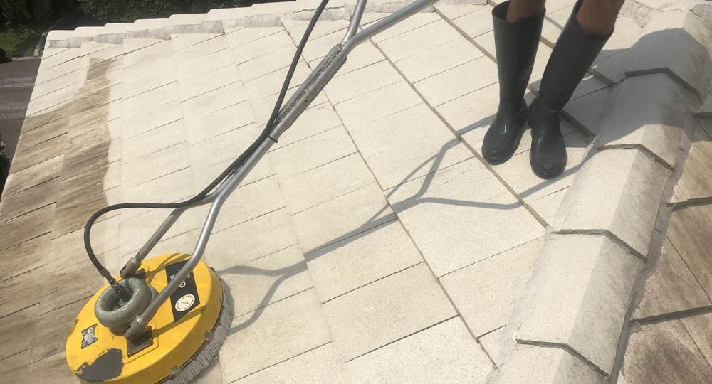 Roof Pressure Cleaning Mold