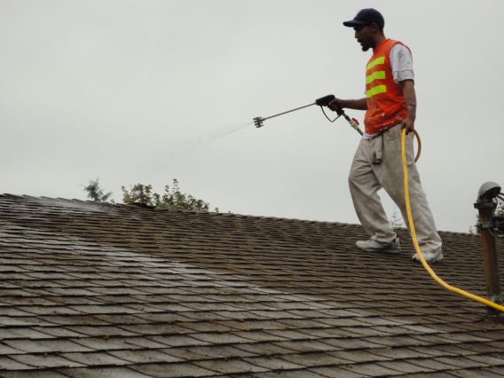 roof cleaning