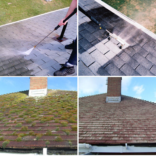 Roof Cleaning