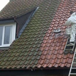 roof cleaning