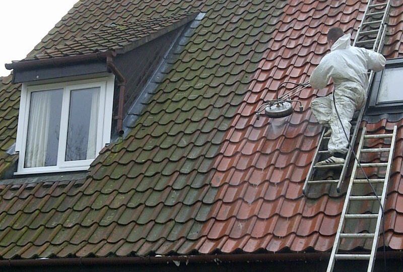 roof cleaning