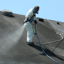 roof cleaning team