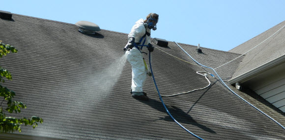 roof cleaning team
