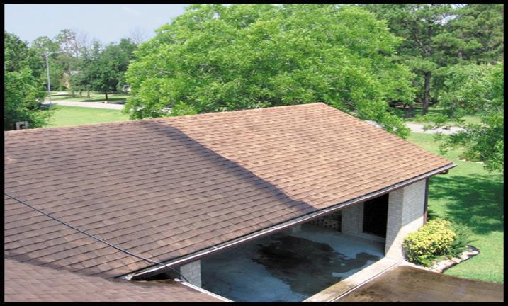 tile cleaning