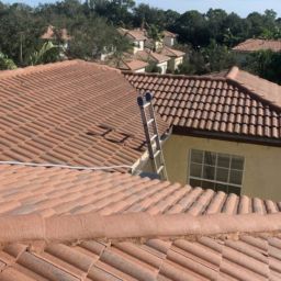 Tile Roof Cleaning