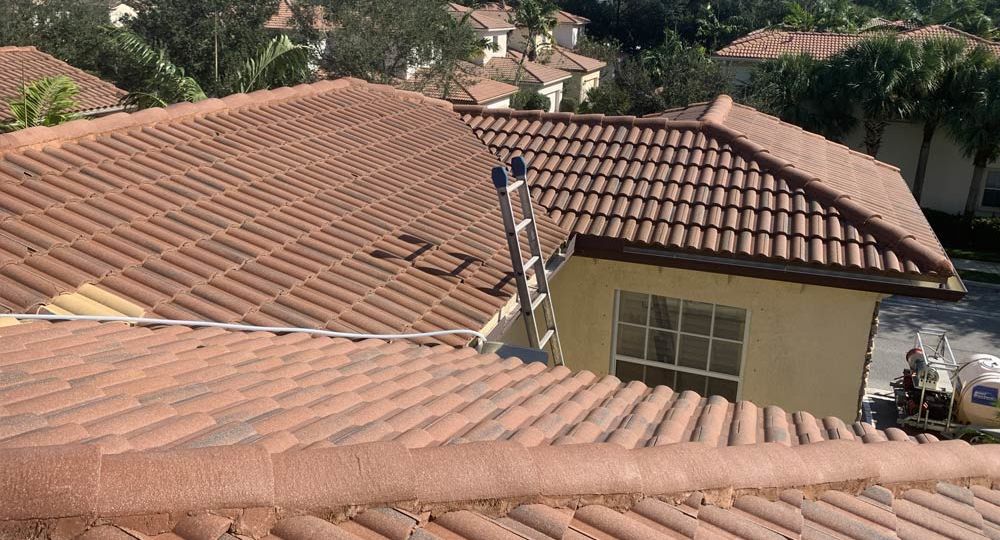 Tile Roof Cleaning